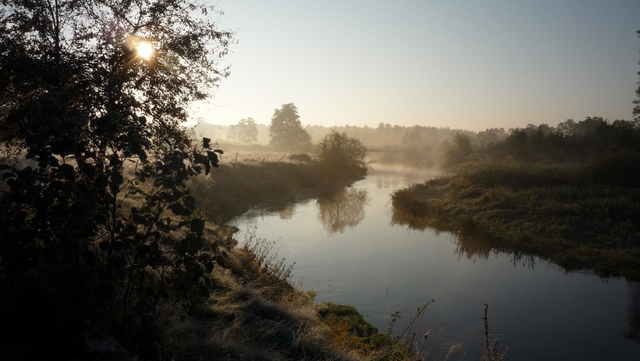 Shrap-Drakers.pl | Shrap Drakers Fishing | Wędkarstwo 