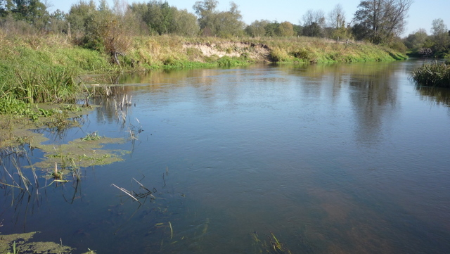 Shrap-Drakers.pl | Shrap Drakers Fishing | Wędkarstwo 