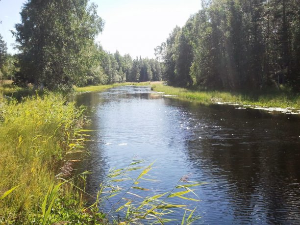 Shrap-Drakers.pl | Shrap Drakers Fishing | Wędkarstwo 