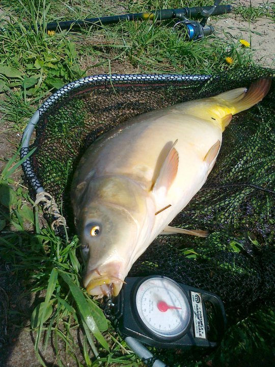 Shrap-Drakers.pl | Shrap Drakers Fishing | Wędkarstwo 