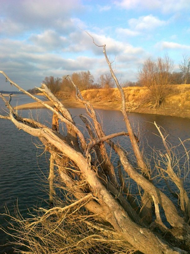 Shrap-Drakers.pl | Shrap Drakers Fishing | Wędkarstwo 