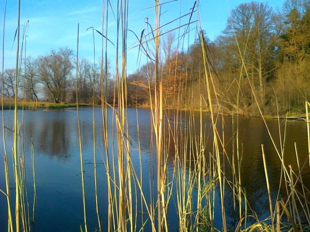 Shrap-Drakers.pl | Shrap Drakers Fishing | Wędkarstwo 