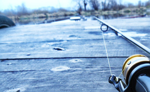 Shrap-Drakers.pl | Shrap Drakers Fishing | Wędkarstwo 