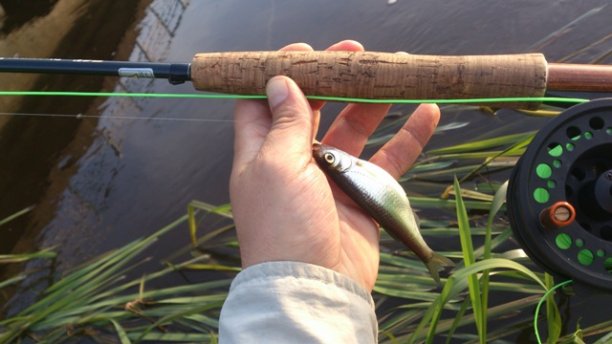 Shrap-Drakers.pl | Shrap Drakers Fishing | Wędkarstwo 