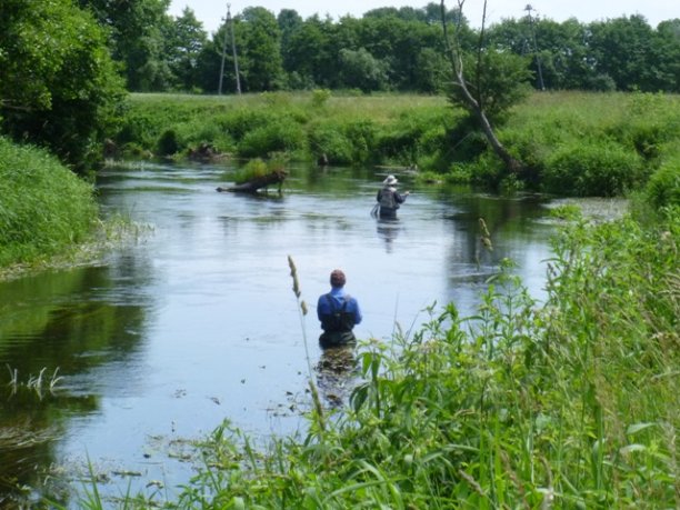 Shrap-Drakers.pl | Shrap Drakers Fishing | Wędkarstwo 