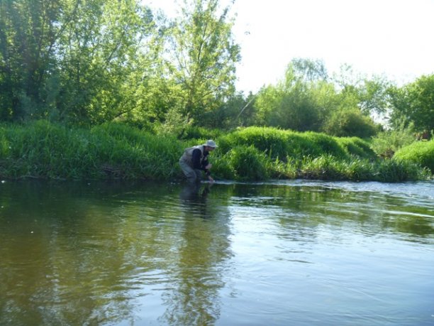 Shrap-Drakers.pl | Shrap Drakers Fishing | Wędkarstwo 