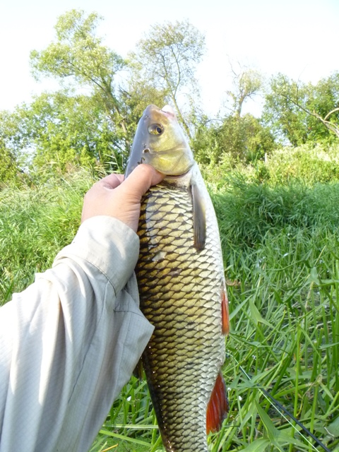 Shrap-Drakers.pl | Shrap Drakers Fishing | Wędkarstwo 