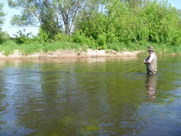 Shrap-Drakers.pl | Shrap Drakers Fishing | Wędkarstwo 