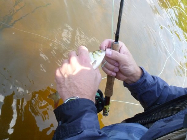 Shrap-Drakers.pl | Shrap Drakers Fishing | Wędkarstwo 