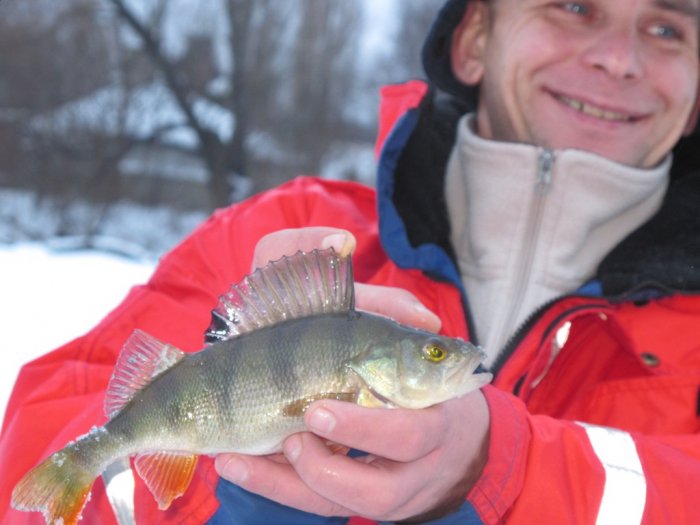 Shrap-Drakers.pl | Shrap Drakers Fishing | Wędkarstwo 