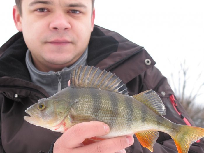 Shrap-Drakers.pl | Shrap Drakers Fishing | Wędkarstwo 