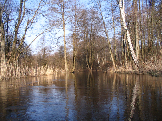 Shrap-Drakers.pl | Shrap Drakers Fishing | Wędkarstwo 