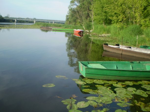 Shrap-Drakers.pl | Shrap Drakers Fishing | Wędkarstwo 