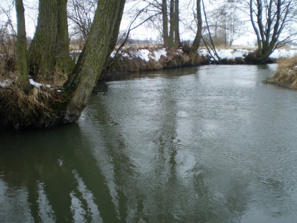 Shrap-Drakers.pl | Shrap Drakers Fishing | Wędkarstwo 