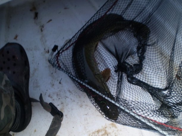 Shrap-Drakers.pl | Shrap Drakers Fishing | Wędkarstwo 