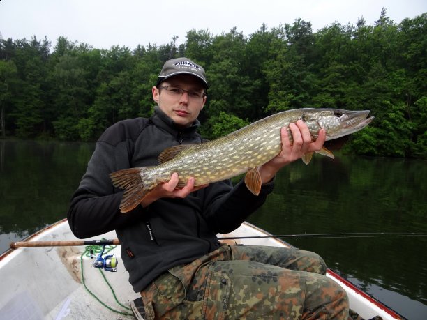 Podsumowanie sezonu 2013