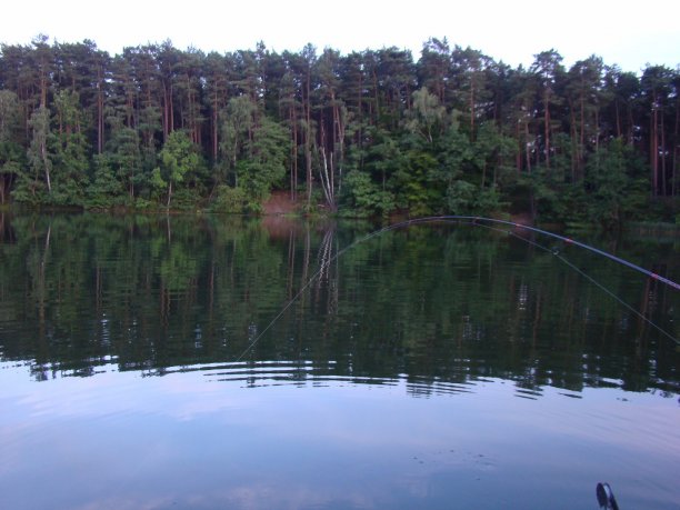 Shrap-Drakers.pl | Shrap Drakers Fishing | Wędkarstwo 