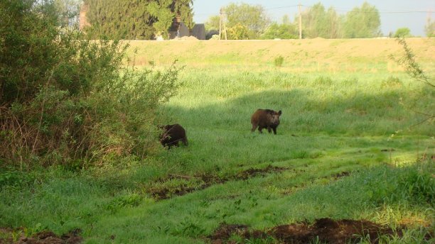 Shrap-Drakers.pl | Shrap Drakers Fishing | Wędkarstwo 