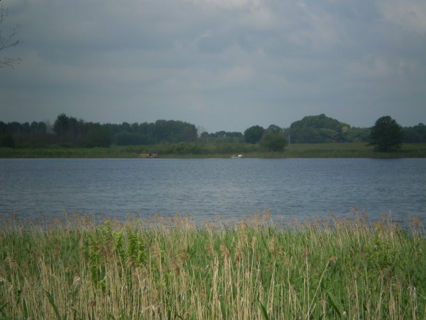 Shrap-Drakers.pl | Shrap Drakers Fishing | Wędkarstwo 