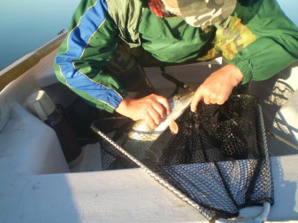 Shrap-Drakers.pl | Shrap Drakers Fishing | Wędkarstwo 