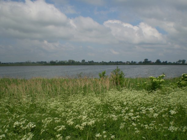 Shrap-Drakers.pl | Shrap Drakers Fishing | Wędkarstwo 