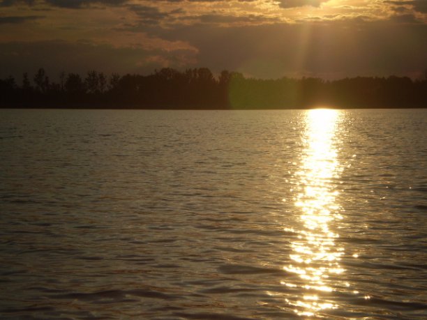 Shrap-Drakers.pl | Shrap Drakers Fishing | Wędkarstwo 