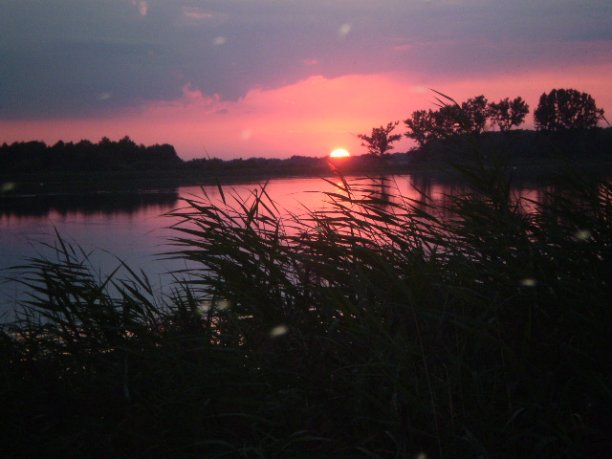 Shrap-Drakers.pl | Shrap Drakers Fishing | Wędkarstwo 