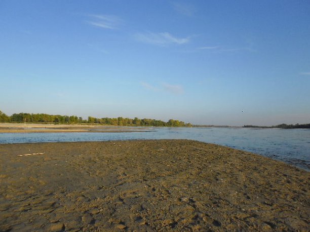 Shrap-Drakers.pl | Shrap Drakers Fishing | Wędkarstwo 