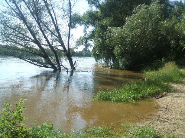 Shrap-Drakers.pl | Shrap Drakers Fishing | Wędkarstwo 