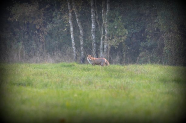 Shrap-Drakers.pl | Shrap Drakers Fishing | Wędkarstwo 