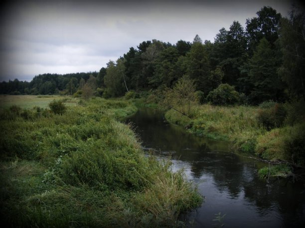 Shrap-Drakers.pl | Shrap Drakers Fishing | Wędkarstwo 