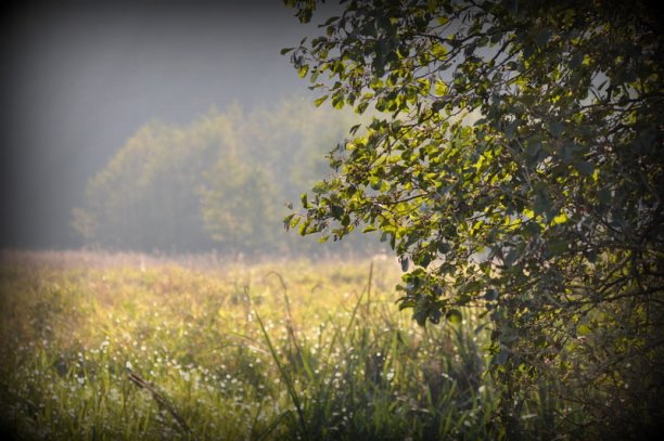 Shrap-Drakers.pl | Shrap Drakers Fishing | Wędkarstwo 