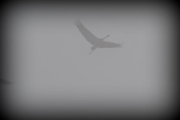 Shrap-Drakers.pl | Shrap Drakers Fishing | Wędkarstwo 