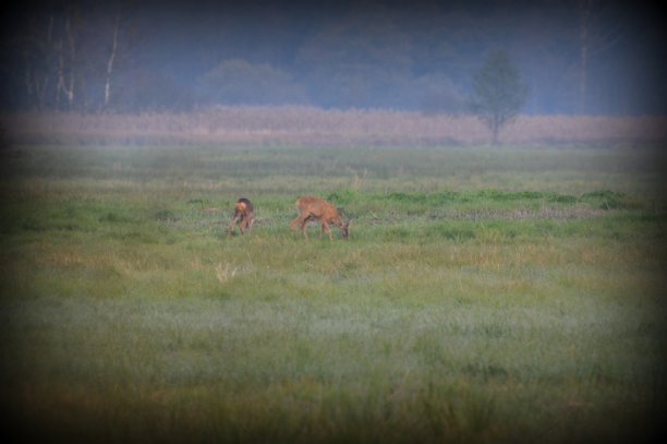 Shrap-Drakers.pl | Shrap Drakers Fishing | Wędkarstwo 