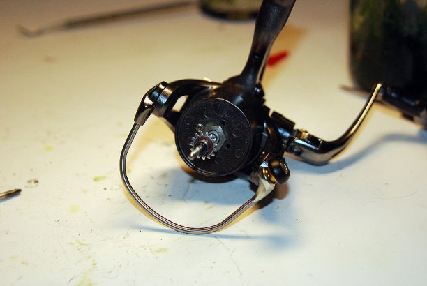 Shrap-Drakers.pl | Shrap Drakers Fishing | Wędkarstwo 