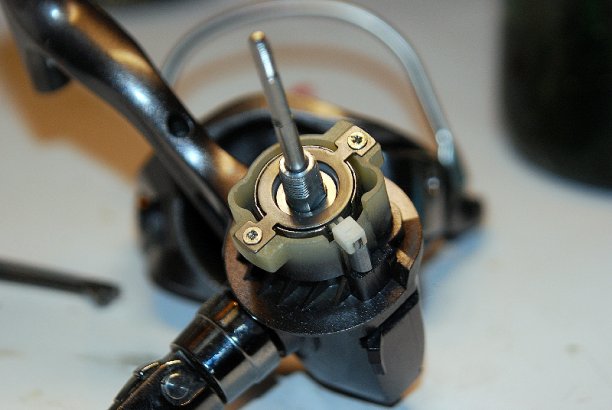 Shrap-Drakers.pl | Shrap Drakers Fishing | Wędkarstwo 