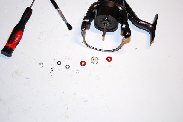 Shrap-Drakers.pl | Shrap Drakers Fishing | Wędkarstwo 