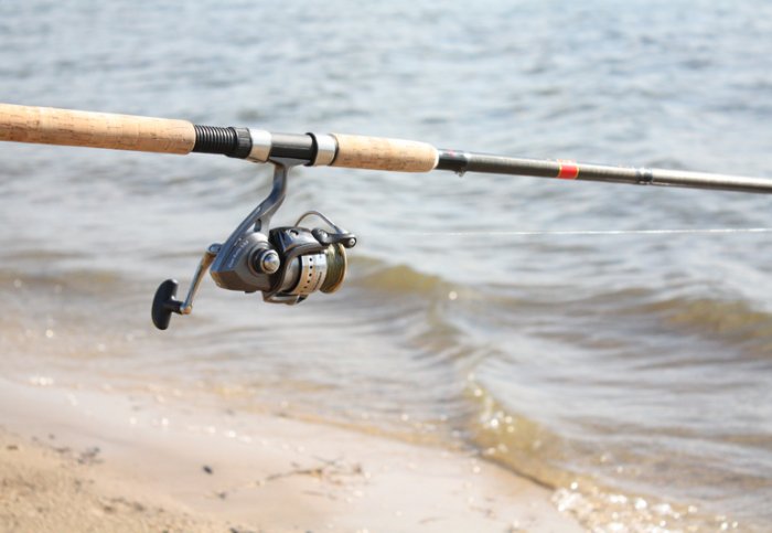 Shrap-Drakers.pl | Shrap Drakers Fishing | Wędkarstwo 