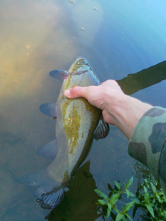 Shrap-Drakers.pl | Shrap Drakers Fishing | Wędkarstwo 