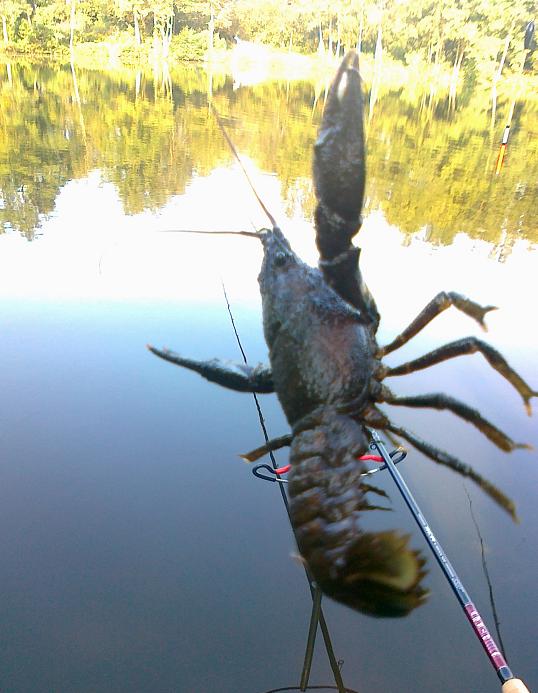 Shrap-Drakers.pl | Shrap Drakers Fishing | Wędkarstwo 