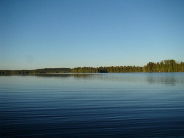 Shrap-Drakers.pl | Shrap Drakers Fishing | Wędkarstwo 