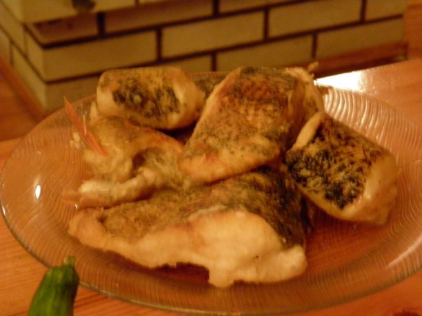 Shrap-Drakers.pl | Shrap Drakers Fishing | Wędkarstwo 