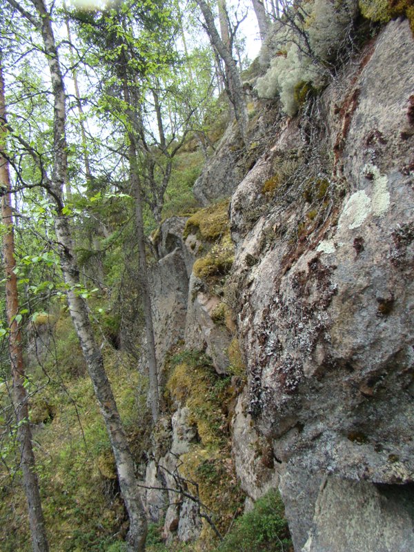 Shrap-Drakers.pl | Shrap Drakers Fishing | Wędkarstwo 