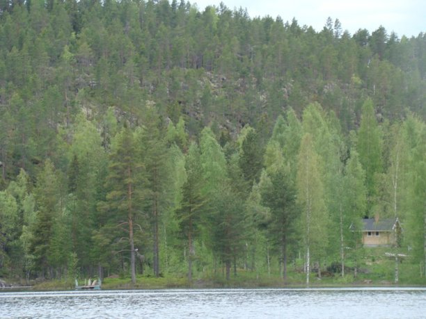 Shrap-Drakers.pl | Shrap Drakers Fishing | Wędkarstwo 