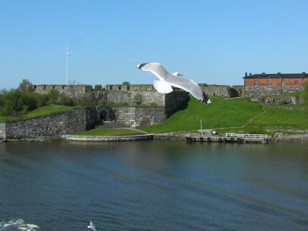 Shrap-Drakers.pl | Shrap Drakers Fishing | Wędkarstwo 