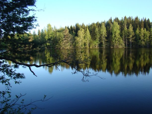 Shrap-Drakers.pl | Shrap Drakers Fishing | Wędkarstwo 