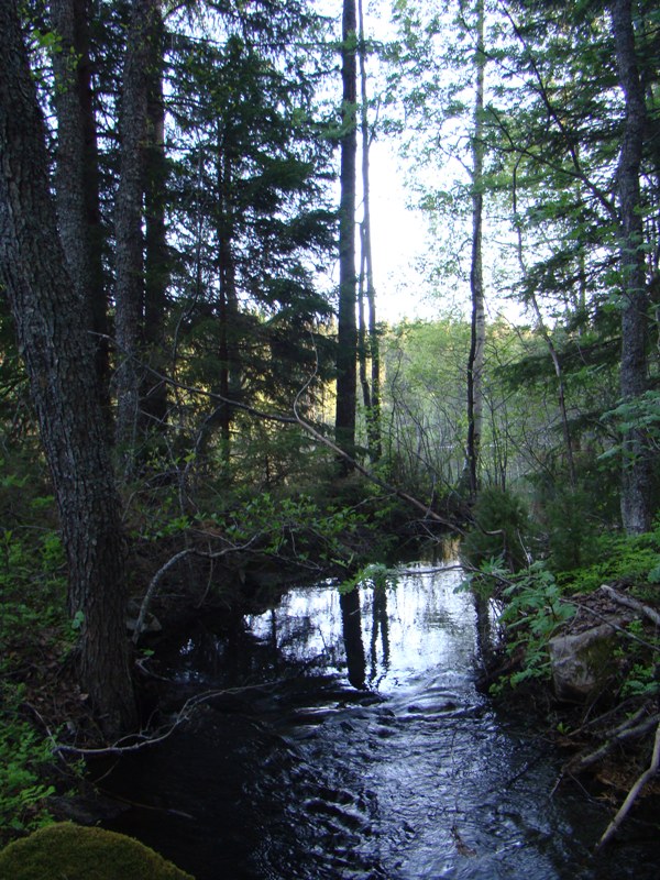 Shrap-Drakers.pl | Shrap Drakers Fishing | Wędkarstwo 