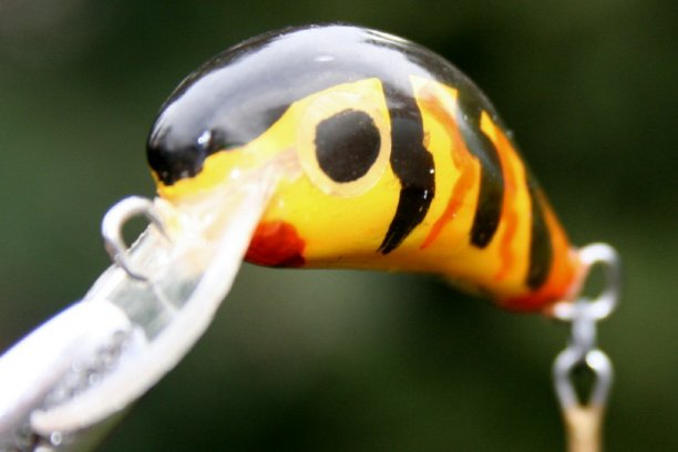 Shrap-Drakers.pl | Shrap Drakers Fishing | Wędkarstwo 