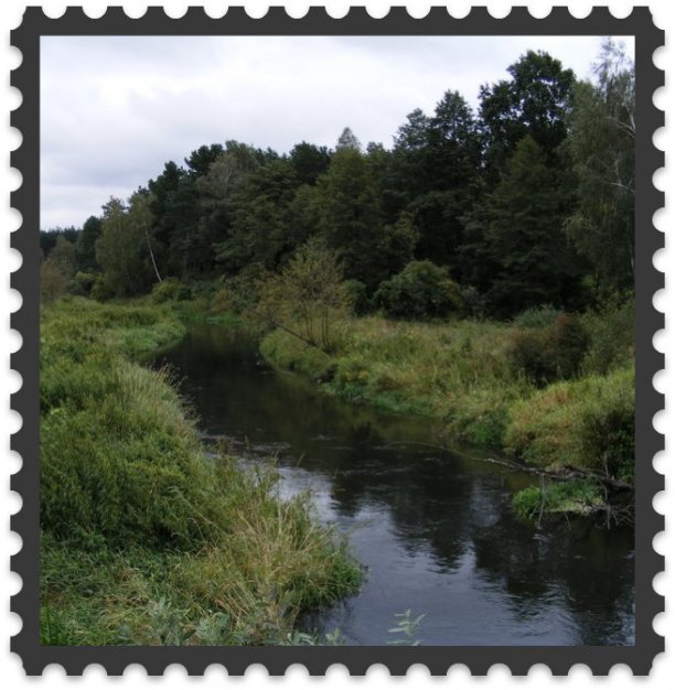 Shrap-Drakers.pl | Shrap Drakers Fishing | Wędkarstwo 