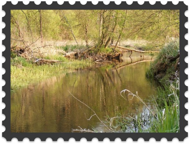 Shrap-Drakers.pl | Shrap Drakers Fishing | Wędkarstwo 